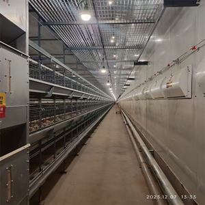 Nuova Gabbia Automatica per Pulcini QM YC-19 Tipo H, per Allevamento di Pulcini di un Giorno, Quaglie e Uccelli, Capacità 90-200, Garanzia 1 Anno - Product Image 5