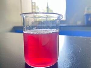 メーカー供給純粋な天然高濃度酸化防止剤アサイベリーエキス10:1 - Product Image 4