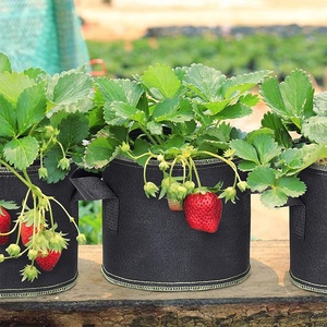 Bolsas de cultivo de 7 galones, macetas de tela para vivero, flores, macetas para cultivo de verduras - Product Image 4