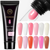 Kit professionnel de manucure à domicile avec lampe LED, gel poly flexible et résistant pour sculpture d'ongles, style salon, gel de designer