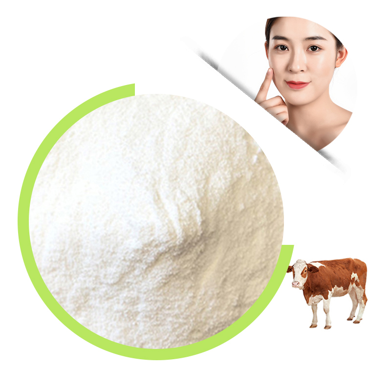 Bovine collagen powder supplier Bovine collagen powder supplier