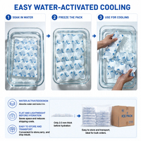 Manufacturers Custom Disposable Ice Bag Refrigerated Self-Absorbing Water Ice Cold Packs