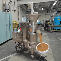 Machine de Fabrication de Beurre d'Arachide, Sésame, Karité et Sauce Tomate Pimentée en Acier Inoxydable Petit Modèle à Bas Prix – Broyeur à Noix et Moulin Colloïdal