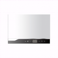 Chauffe-eau mural intelligent à gaz naturel Haier, nouveau design, en acier inoxydable, avec petit réservoir, pour camping-car et extérieur