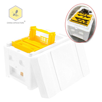 Matériel d'apiculture Apidea : Ruches de reproduction pour la reproduction des reines, mini-ruches de reproduction en polystyrène à vendre