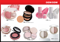 Poudre correctrice translucide 2 couleurs compacte avec houppette, maquillage du visage, étiquette privée personnalisée