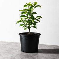 Pots de jardin suspendus au sol en PP de haute qualité, style Japandi, avec trou de drainage, légers, durables, modernes, pour l'extérieur, auto-arrosants
