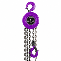 Palans à chaîne manuels Chenghua 1T 2T 3T 5T 10T, blocs de levage à chaîne G80, chaîne en acier de 10 mm, hauteur de levage de 60 m pour le levage de matériaux lourds