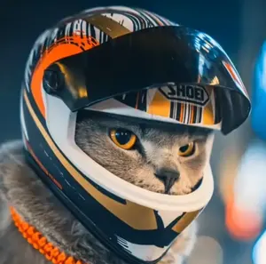 Motorrad Katze gewidmet Haustier Helm