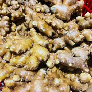 Premium Quality Fresh Ginger Vietnam | Raíz Orgánica Aromática Exportación Proveedor Mayorista - Product Image 5