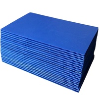 Planche à flûte 3mm double paroi Polipropileno Corrugado Hojas De Plastico Supercore Board PP Ondulé Plastique Noyau Flûte Feuilles