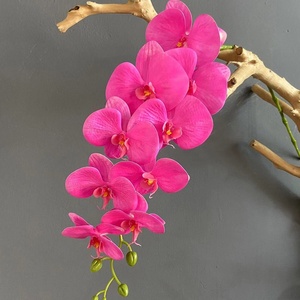 Orquídeas Blancas Artificiales Everbloom de Alta Calidad, Phalaenopsis Artificiales al por Mayor, Diseño de Mariposa con Tacto Real, Hechas a Mano con Película Suave - Product Image 6
