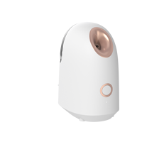 Vaporizador facial Nano iónico de alta calidad Vapozone vapor caliente y instrumento de humedad profunda Nano Mister eléctrico