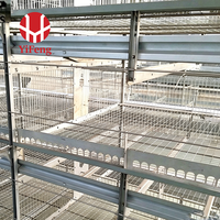 Cage à poulets de type H, cage automatique à 5 niveaux, alimentation et abreuvement, système de collecte des œufs, abreuvoir à tétine, galvanisée