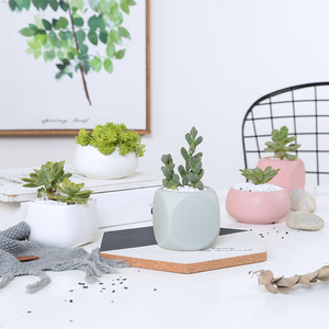 Maceta de Cerámica Hecha a Mano para Decoración Moderna <span class=keywords><strong>del</strong></span> Hogar y Hoteles, Estilo Clásico, Empaque de Lujo, Color Mate, con Revestimiento Interior Personalizable - Product Image 5