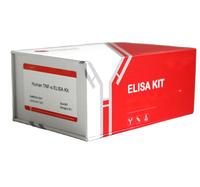 Kit ELISA multi-spécies de la marque JC pour le dépistage de virus porcin, bovin, ovine, caprins, canin, félin, primate, lapin, cochon d'Inde, poulet, canard, oie