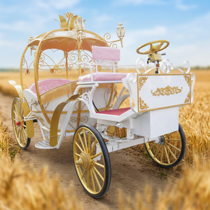 Charrette de cheval blanche pour Noël, calèche de Cendrillon, calèche de mariage blanche, calèche de mariage de princesse, charrette de cheval électrique dorée - Product Image 1
