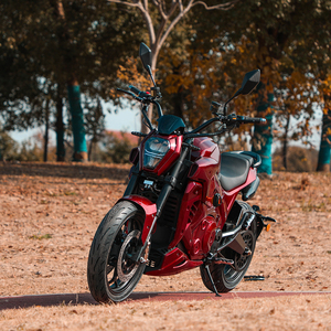 Ducat E Motorcycles, los Mejores Proveedores Chinos de Controladores Inteligentes de Onda Sinusoidal de Largo Alcance, Regulación Multivelocidad - Product Image 3