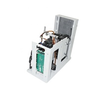 Système de refroidissement compact mini-liquide FS 24v 48v 1kw Dc R134a pour refroidissement de batterie de voiture électrique médicale laser