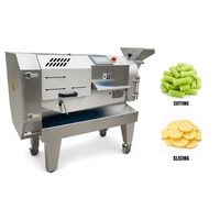 Commerciële groentesnijmachine, snijmachine, schaafmachine, fruitverwerkingsinstallatie, fruit- en groentesnijmachine