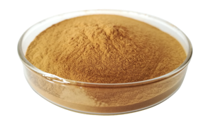 Thiên nhiên tinh khiết chất lượng cao sapindus indica lá chiết xuất sapindoside soapnut saponin - Product Image 2