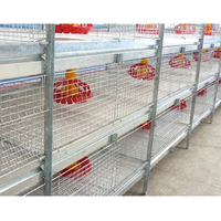Nouvelle cage à poussins automatique en acier galvanisé à chaud pour 90-200 poulets, facile à utiliser