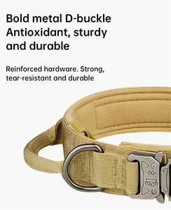 Haustierprodukte Metallschnalle Trainingshalsband für Mittelgroße und Große Hunde Taktisches Hundehalsband und Leinenset - Product Image 3