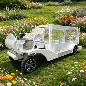 Coche Fúnebre de Estilo Popular, Vehículo para Ataúdes, Limusina Fúnebre de Lujo, Coche Fúnebre Clásico Blanco - Product Image 5