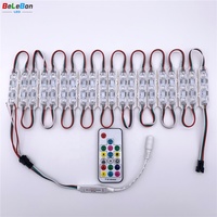 Module LED Pixel Ultrasonique Adressable à Changement de Couleur Complet RVB, Étanche, Injection Flashing, DC12v 3 LED WS 2811 UCS1903