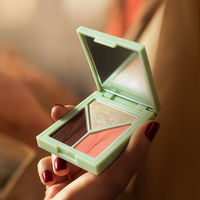 Palette de maquillage multifonctionnelle pour le visage, surligneur et fard à joues en poudre
