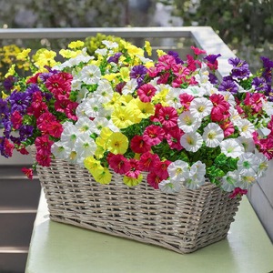 Guirlandes artificielles de fleurs de gypsophile Chao Qi en plastique et soie, bouquet blanc, jaune, rouge, violet, rose, décoration de mariage, utilisation en extérieur - Product Image 2