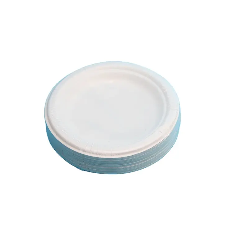 Customizable 100% Biodegradable Compostable Materials Wholesale Bagasse Disposable Plates