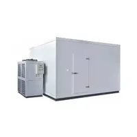 Chambre froide de stockage frigorifique pour fruits, construction d'entrepôt frigorifique, congélateur walk-in