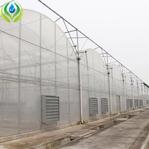 Agriculture MYXL Large Greenhouse 1000sqm Industrial China Green House Agriculture