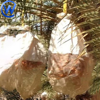 Midden-Oosten Bescherming Dadelpalmboom Mesh Netzak Fruit Bos Zakken Dadel Palm Buis Netzak 150X90