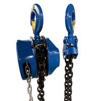Palans manuels à prix d'usine, capacité 2T, levée 6 m, chaîne de charge de grade 80 pour travaux de levage et d'agrandissement en usine et garage