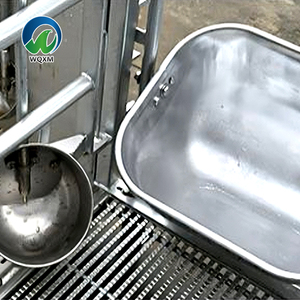 Attrezzatura per Allevamento Suino Stile Europeo Gabbia per Scrofe e Cassa da Parto in Plastica e Acciaio Resistente Nuova o Usata per Suini - Product Image 3