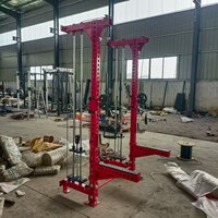Dinuo Appareil de musculation compact mural avec poulie de 80 kg – Machine à câble en acier de 3 mm peu encombrante pour la maison et la salle de sport
