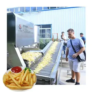 Commercial High Quality Small Scale 100kg/h Full Automatic Frozen French Fries Production Line With CE