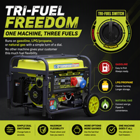 Générateur tri-énergie 10 kW 13 kVA essence, propane, gaz naturel 380 V triphasé, démarrage électrique, portable pour la maison et les situations d'urgence