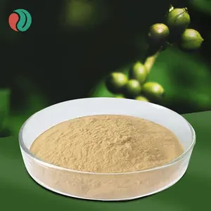 Extrait de grain de café vert HerbSpirit 50% poudre d'acide chlorogénique