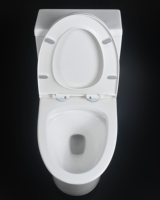Toilette moderne en céramique monobloc à double chasse d'eau avec drainage à siphon en S pour la maison ou l'hôtel
