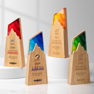 Trofeo <span class=keywords><strong>de</strong></span> <span class=keywords><strong>Madera</strong></span> Sólida con Cristal, Diseño Creativo, Logotipo Personalizado, Premios Empresariales, Reconocimiento a Personal Destacado, Conmemoración Escolar - Product Image 5