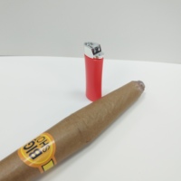 Haute qualité marron Jumbo faux cigare carnaval accessoire blague jouet idéal pour les fêtes à thème et les représentations théâtrales