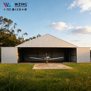 Bâtiment de stockage d'avions en acier structurel professionnel pour usage aéroportuaire - Product Image 1