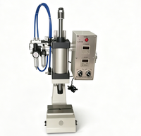 Presse pneumatique de précision Longxin PLE 5KN à haute performance, économe en énergie et facile à utiliser, à commande au pied/main.