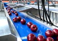 Fruitwas- en sorteerlijn met bubbelspoelmachine, borstelrol, luchtdroger, wasmachine en sorteermachine voor sinaasappels, appels en avocado's.