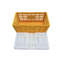 BERYS Bacs à œufs empilables en plastique pour 240 œufs, paniers de rangement pliables, boîtes mobiles, rouge, état neuf, usage domestique, usage avicole