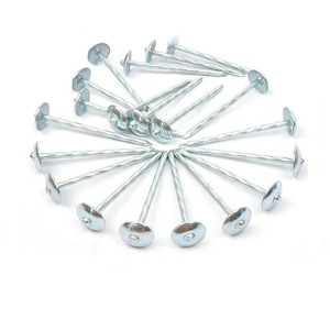 Produttori di vendita calda fornitura moderno e semplice zincato chiodi ondulato a forma di ombrello viti muro di cemento chiodi - Product Image 6