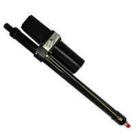 Cylindre hydraulique fait sur commande de représentation fiable de serrure hydraulique d'ascenseur de queue de camion de distributeur de machines de construction
